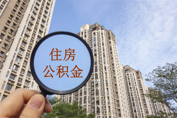 固原离职后公司不给转公积金怎么办（离职后公司不给转社保怎么办）